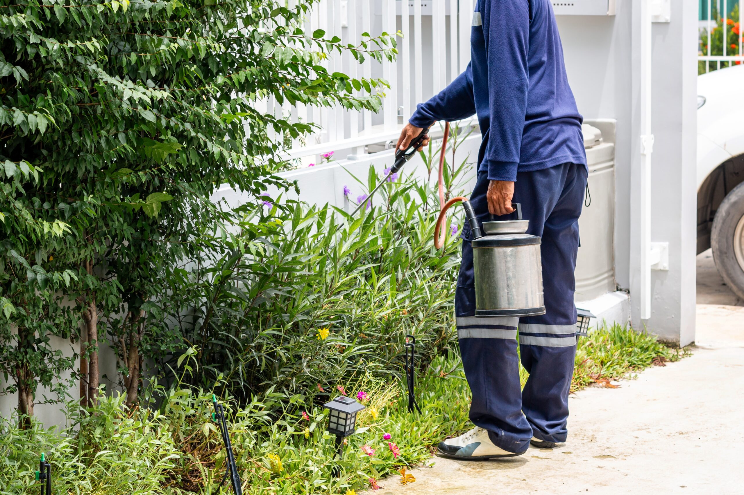 pest control seo